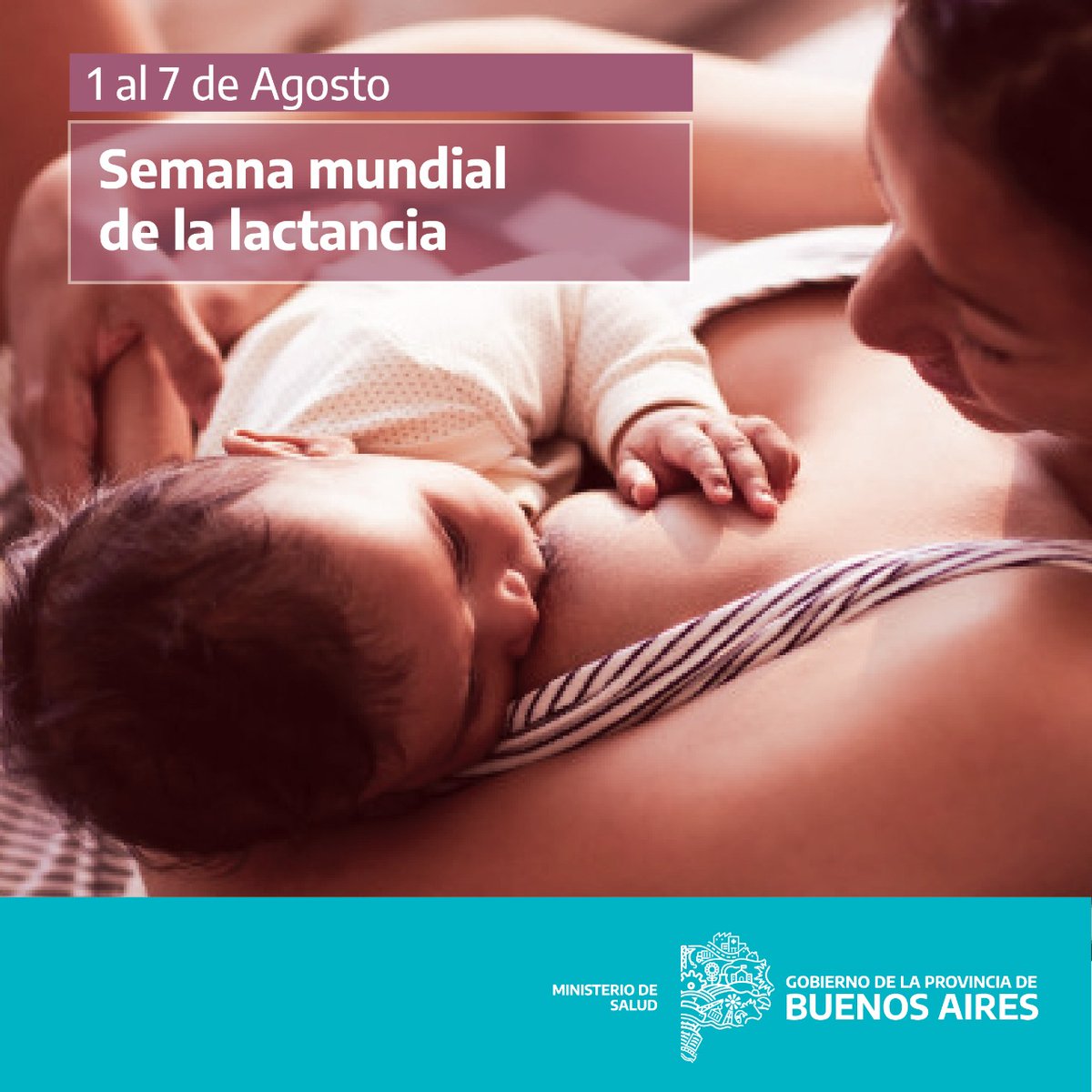 AbordajeSalud's tweet photo. La lactancia garantiza la mejor alimentación desde la primera hora de vida. Reduce la mortalidad infantil y proporciona la energía y los nutrientes necesarios.
Amamantar desde el primer momento es tu derecho y decisión.
@BAProvincia 
@MinMujeresPBA 
@DrDanielGollan 
@sabribalania https://t.co/Fvof5fPWfg