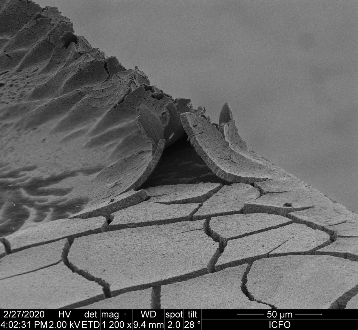 ICFOnians's tweet photo. What are #nanotubes? 

Antoine Reserbat-Plantey (@reserbat), researcher at @ICFOnians, shares a fascinating video that allows us a glimpse at the wonders of the nanoworld! 

👉https://t.co/yTf9yI3gpV 

#science #nanotechnology #physics #nano https://t.co/zGXOAMKMWU