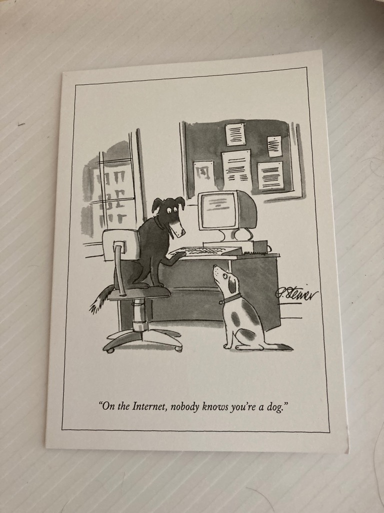 I left my computer on by accident this morning and look what Boomer and Lilly found. Should I be worried?