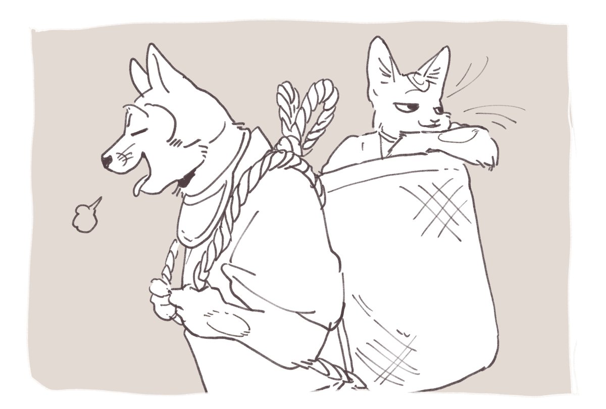 Cat and dog :3c 