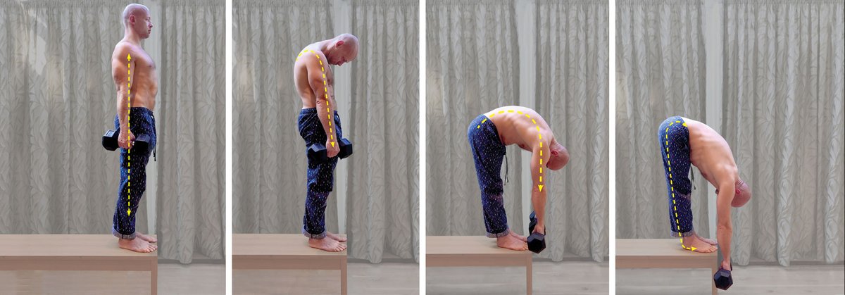 nirajtwts's tweet image. 3 MOVEMENTS EVERYONE SHOULD PRACTICE

1. J-Curl
2. Shoulder Extension
3. Thoracic bridge

learnt via @tferriss on @ToolsofTitansTG ⭐🏆