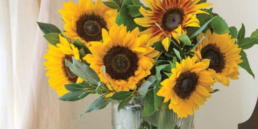 VictoriaMag's tweet photo. "The brilliant poppy flaunts her head
Amidst the ripening grain,
And adds her voice to sell the song
That August's here again."
—Helen Winslow
• • •
Wishing you each a happy first day of August filled with smiles as bright as these charming sunflowers! https://t.co/PnzP5lKHuW