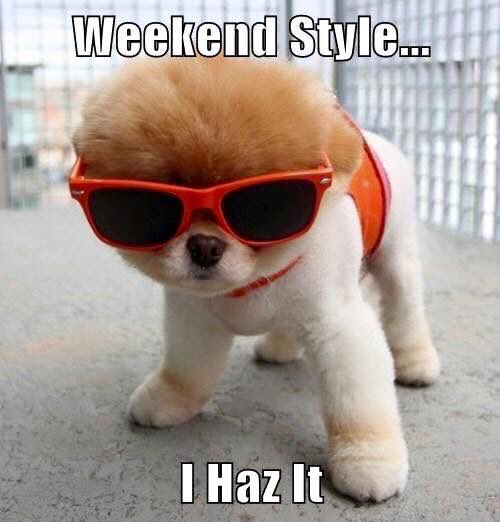 Weekend Mode Animals Have A Nice Weekend Animals