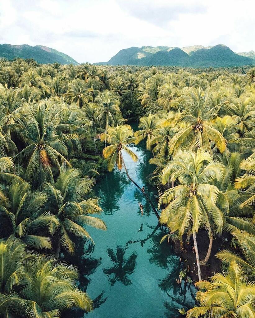 howfarfromhome's tweet photo. A paradise for solo female travellers 🌴⠀
⠀
Our final image for Philippines week comes from the super talented 📸 @backpackwithme who captured Siargao Island from a magical perspective. This particular image was featured in @dametraveler’s #DameTr… https://t.co/eEy0uHFnmM https://t.co/vEdPUl4uAm