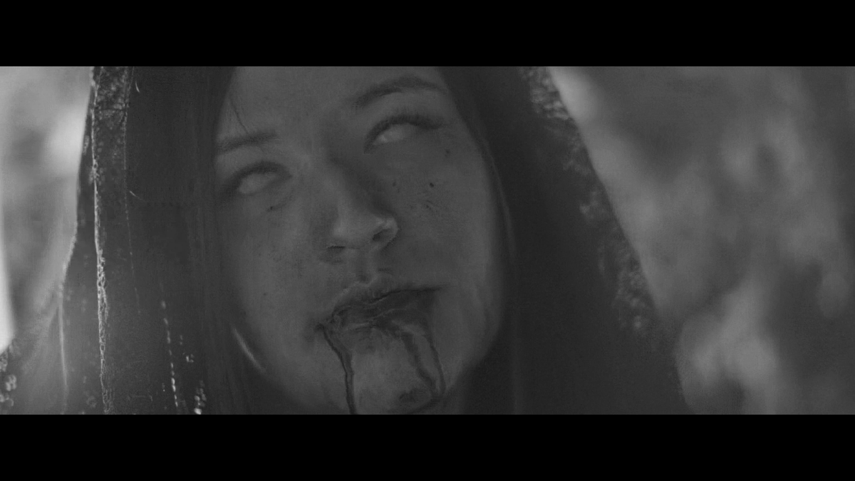 bmpromotion666's tweet photo. Witchthrone - Black Metal from Hungary. Track from the upcoming self-titled debut EP. #blackmetal #blackmetalpromotion #hungarianblackmetal #witchthrone
Official Video: https://t.co/8gU6tpo3wN https://t.co/4yAVpxNBGw