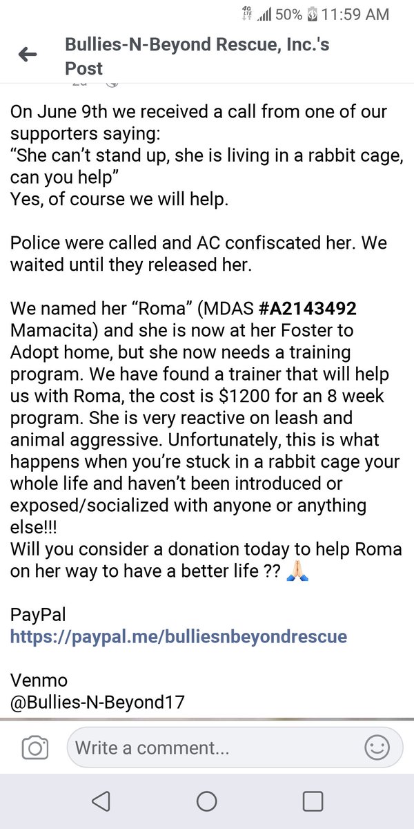 kaylamarie413's tweet photo. Beautiful Roma was living in a rabbit cage her whole life till she was rescued by Bullies N Beyond. She is now at her #foster to #adopt home but needs training. Can you #donate so she can stay where she is forever? Paypal bulliesnbeyondforever thanks! #pleaseshare #pleaseRTRT https://t.co/0MWIAieSQ2