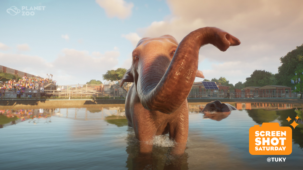 planet zoo forums