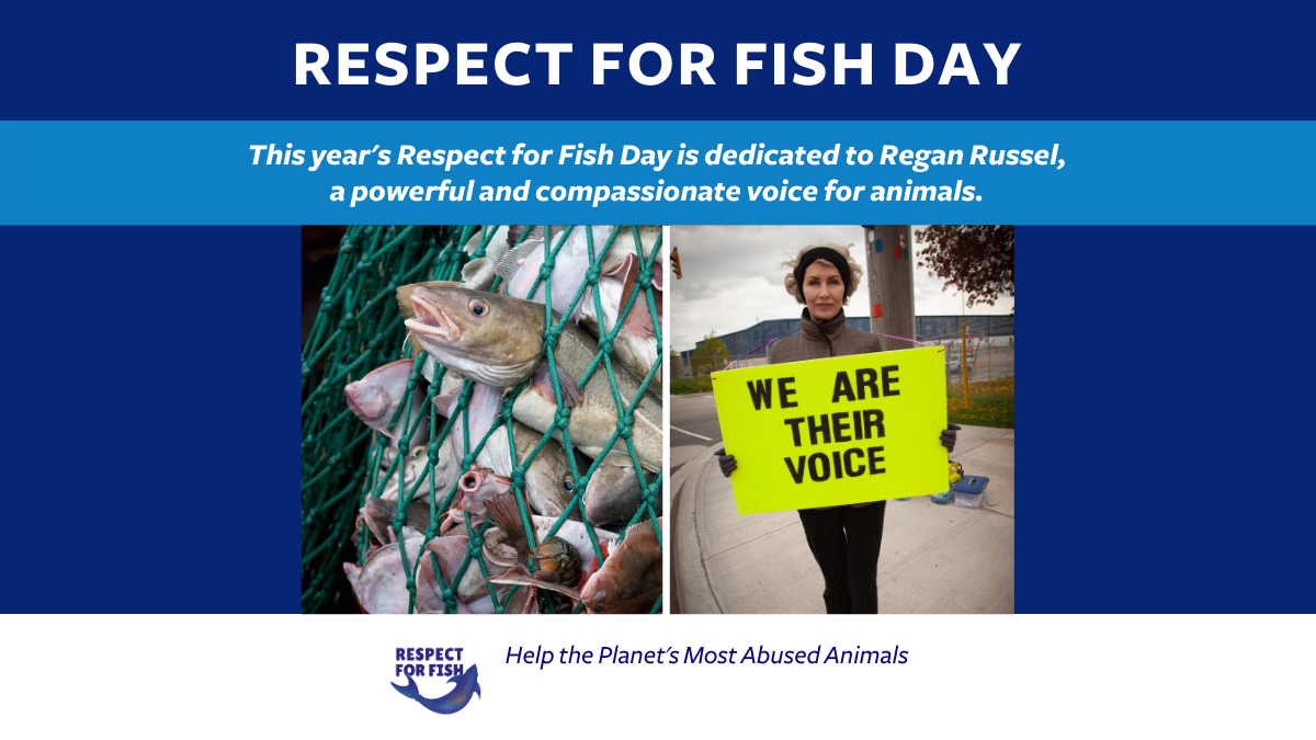 IDAUSA's tweet photo. Today is #Respect4Fish Day! 🐟
We dedicate the launch of this historical initiative to the life of Regan Russel, a powerful and selfless advocate for animals. Today we unite as a collective voice to continue her legacy for the world's most abused animals. Rest in Power, Regan. https://t.co/YssqZogZSP