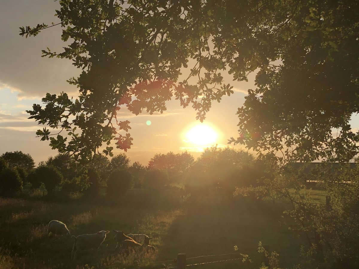 RickResarro's tweet photo. The most beautiful sky in #thenetherlands is now: during the transitional period to hot wheater. https://t.co/mvUCjniabL