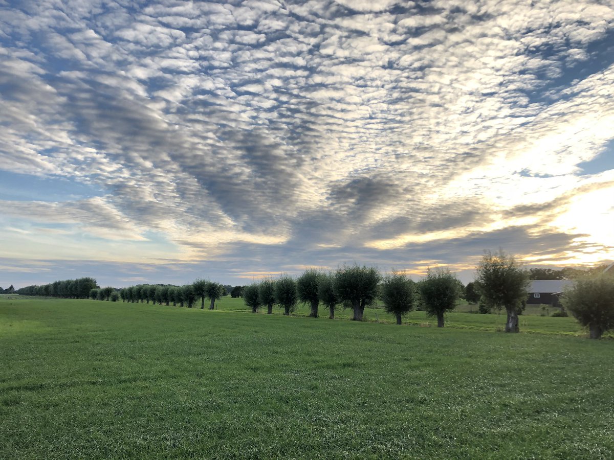 RickResarro's tweet photo. The most beautiful sky in #thenetherlands is now: during the transitional period to hot wheater. https://t.co/mvUCjniabL