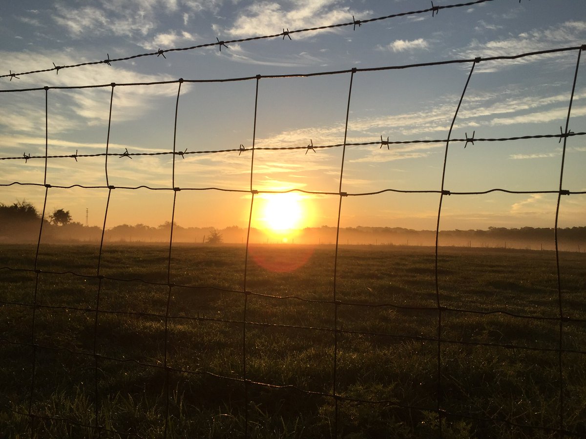 STAsaints_TF_XC's tweet photo. Great day for a long run in the country. #BAU #STAXC https://t.co/Cau7E8NPSR