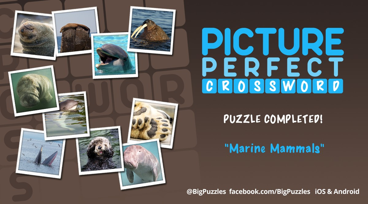 I completed a puzzle in #PicturePerfectCrossword. Play for free! pictureperfectcrossword.com
