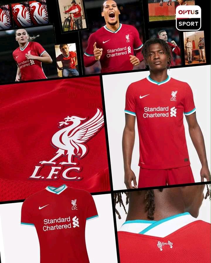 LEWISTAR tweet media