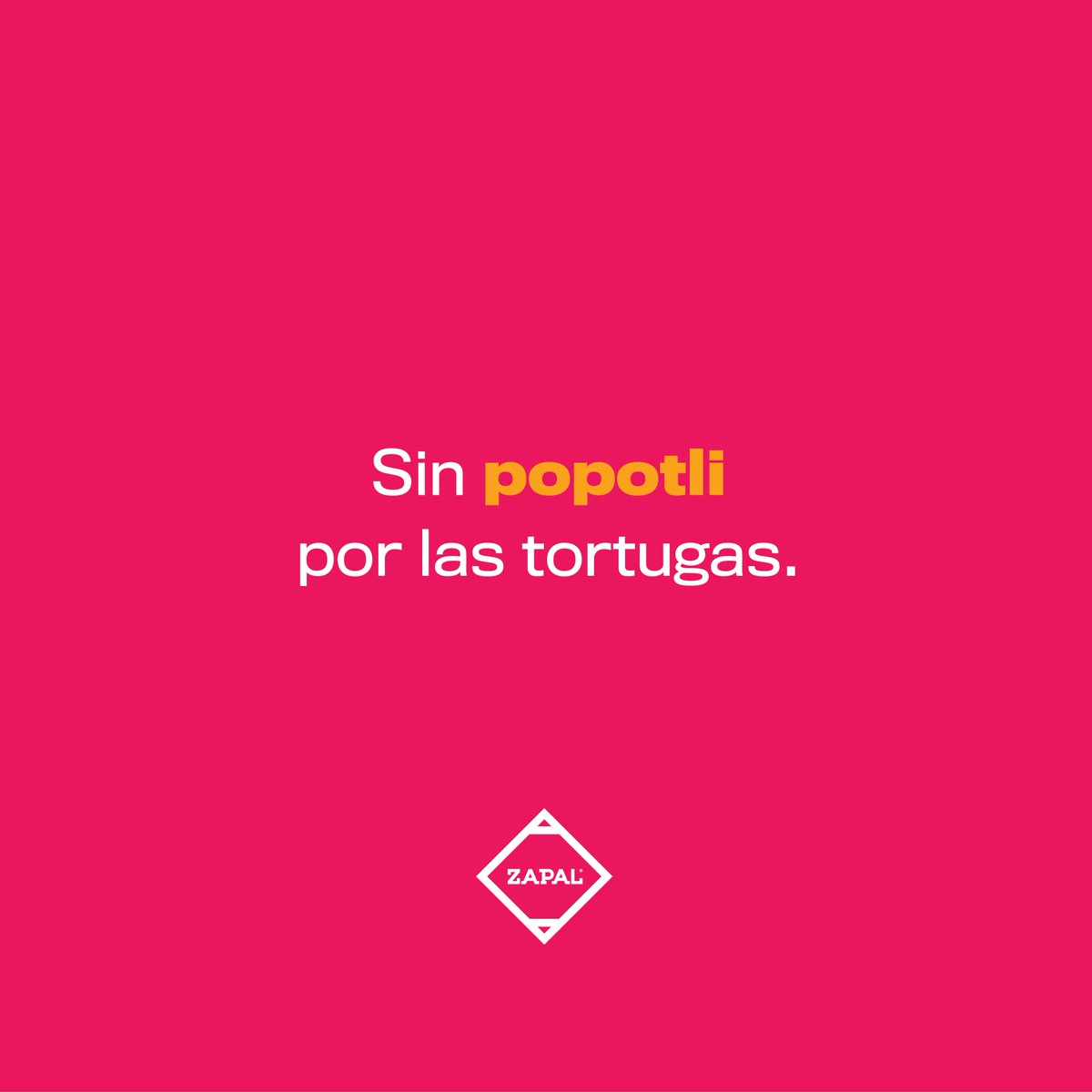 ¿Todos vimos el video de esa pobre tortuga, verdad? Fue como un cubetazo de realidad para todos. Hay un avance pero aun nos falta, no solo con los popotes, si no el plástico en general.

#popote #tortugas #popotli #nahuatl #fugaalzapal #saltillosuena #frase #quote #meme #Zapal