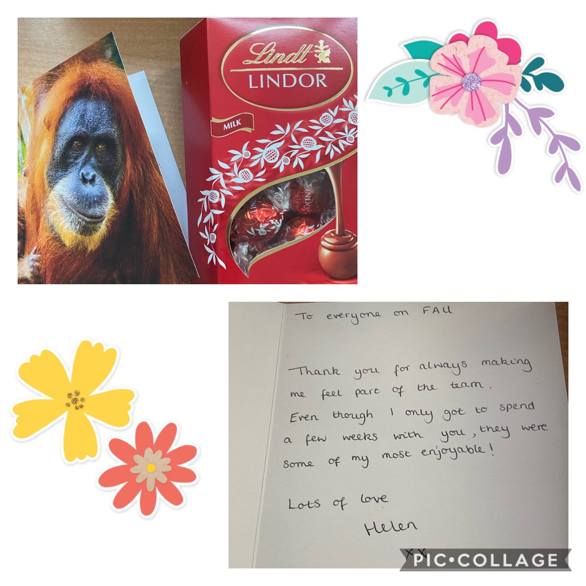 Victoria Willetts (@vickiwilletts6) on Twitter photo Beautiful way too start the morning with a lovely thank you card and chocolates for the girls on FAU. We will miss you very much Dr Helen 🥰 <a href="/leanniemann/">Leanne Mann</a> Beautiful way too start the morning with a lovely thank you card and chocolates for the girls on FAU. We will miss you very much Dr Helen 🥰 <a href="/leanniemann/">Leanne Mann</a>