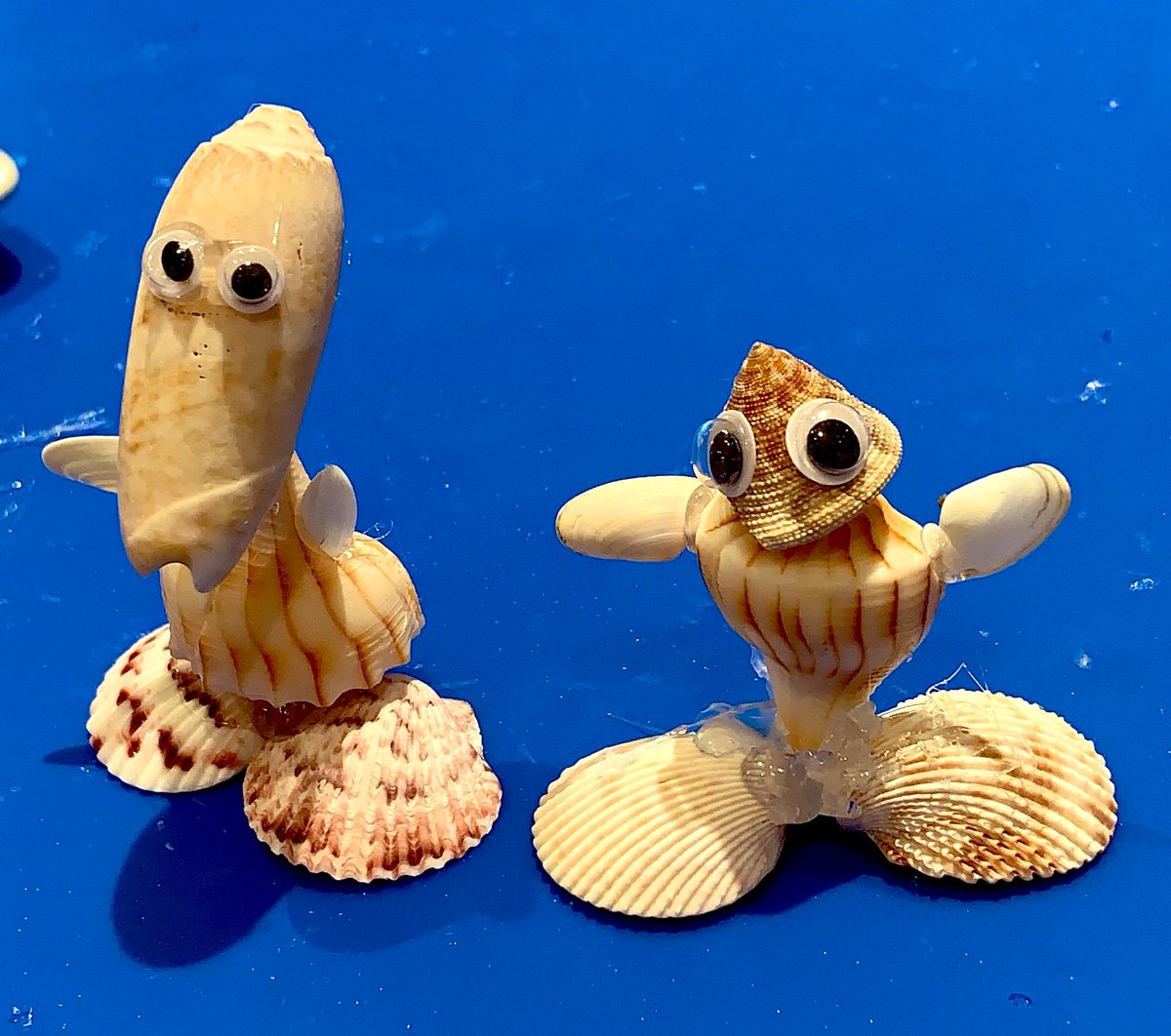 mjloves2teach's tweet photo. #shellmuseumcraft on Sanibel Island https://t.co/ff8tHGIF2X