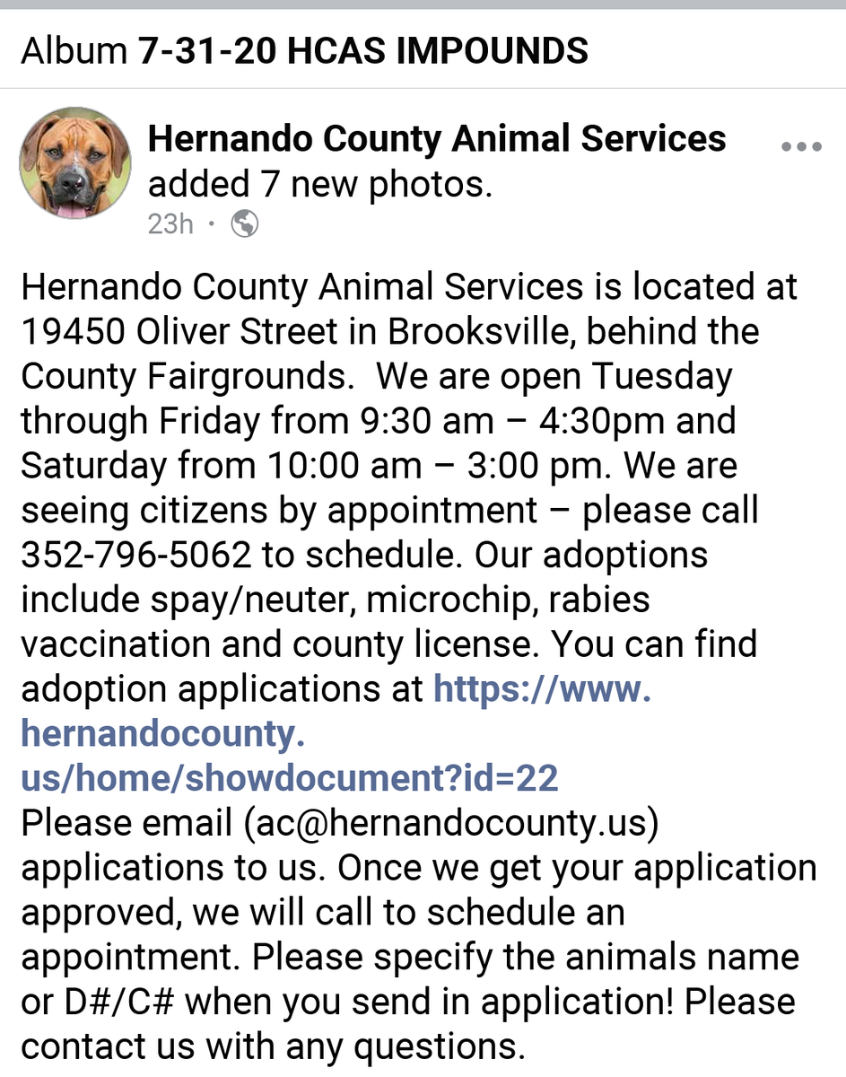 kaylamarie413's tweet photo. #HernandoCountyAnimalServices #Brooksfield #FL 352-796-5062 #ClearTheShelters #pleaseshare #pleaseRTRT https://t.co/EYfyPo9nLy