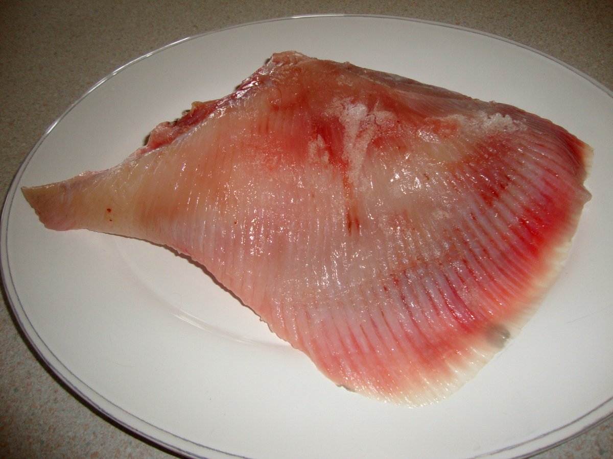 SizzleAndSwing's tweet photo. A dish so often overlooked is Skate Wing, a beautiful delicate fish, we season, poach and serve- it never fails to please
https://t.co/0WlCOnXzUb
@erindickins @Fishchef3 @stockbridgefish #fishchef #skatewing @ErnieHankin @fishcookeat0 @MichaelBonacini @GreggAWallace https://t.co/wR6iYCLmyf