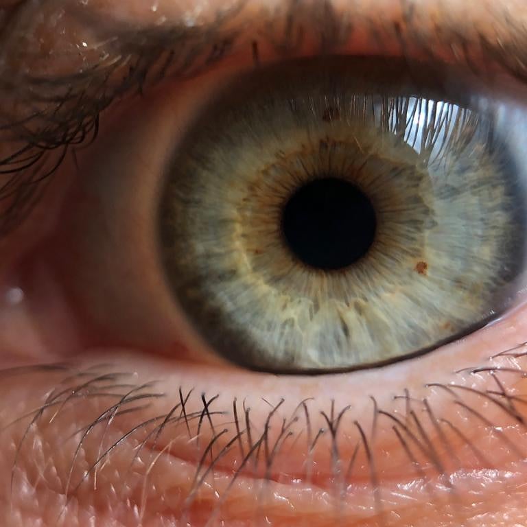 StephScenic's tweet photo. My #eye . photo by @dulcineiagomes
#eyeball #eyephoto #eyephotography #closeupeye https://t.co/1C3UQHjMJI