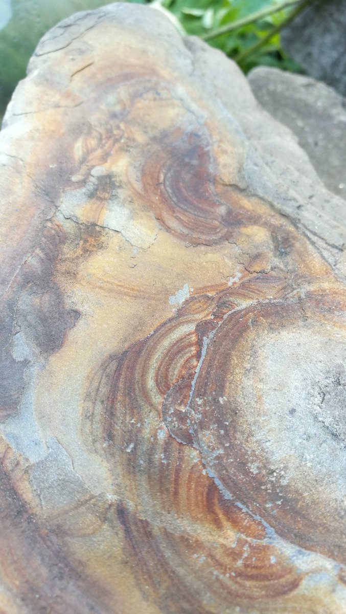 out4space's tweet photo. Wow so pretty colors and patterns. Back of a sand or slate stone. #slatestone #sandstone #stone #nature #geology https://t.co/P431LVK80n