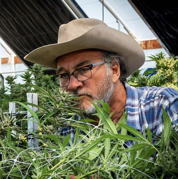 Actor Jim Belushi Take Viewers Inside His Legal Cannabis Farm in New Reality Series 'Growing Belushi' The series premieres Wednesday, August 19 at 10:00/9:00c on Discovery Channel.