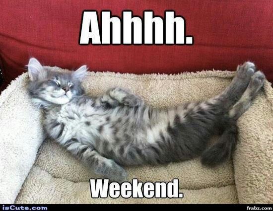 LifecyclesM's tweet photo. How's your weekend going? Hope you have a great one! #lifecyclesmaternity.com #maternitywear #saturdaymood #weekend #baby #rent #maternityclothing #online #maternitypants #maternitydress #maternity #pregnant #babybump #motherhood #expectingmama #pregnancylife #preggers https://t.co/x5JgWbUJv8