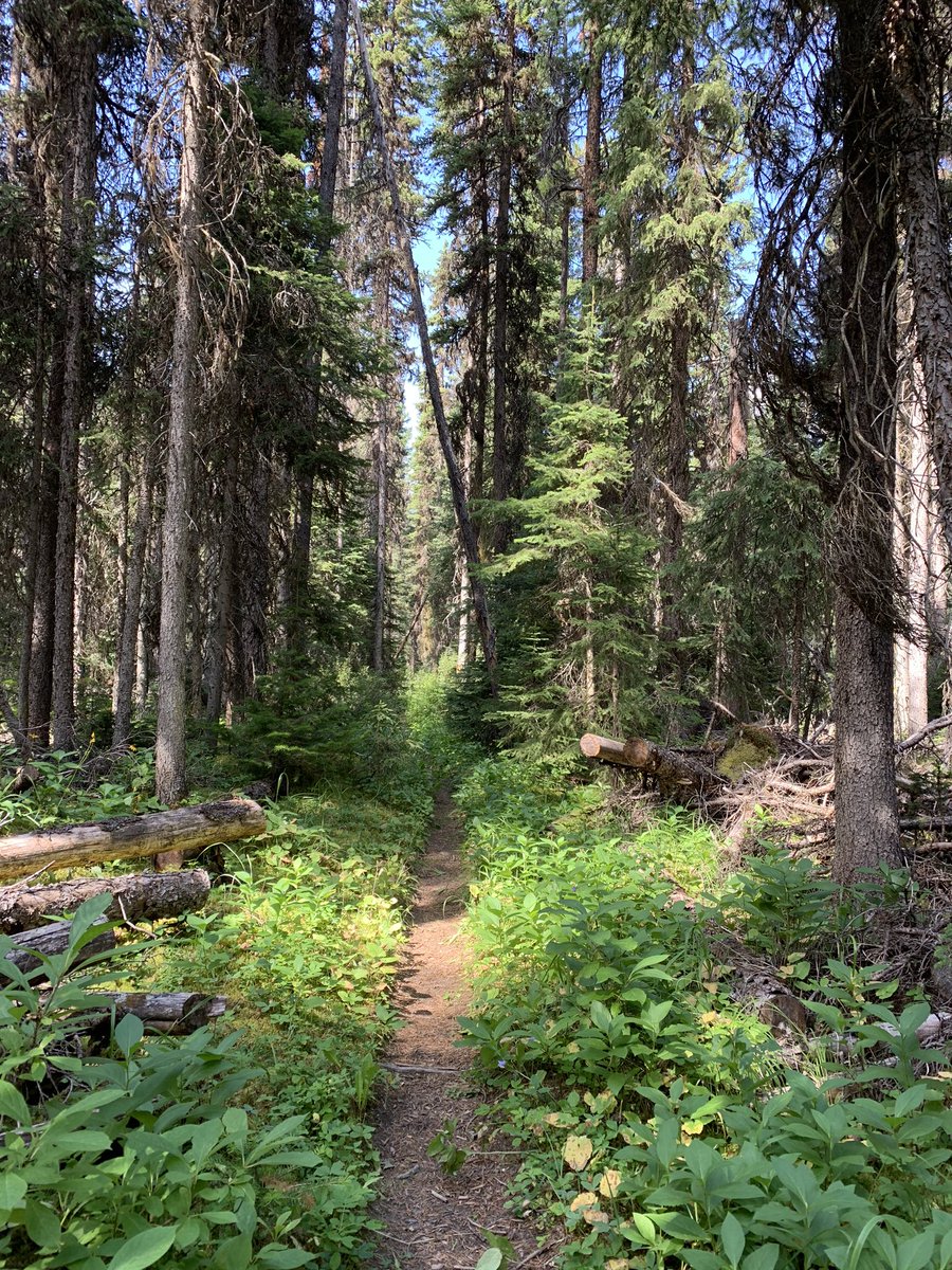 JTurner_RPsych's tweet photo. Such a beautiful day 💕 #blessed #bcbeautiful #dayhike https://t.co/8n9QmpJony