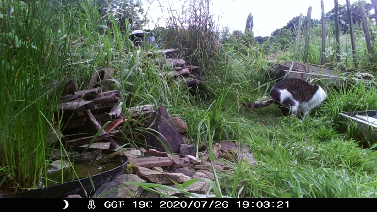 Headingley Station Allotments East tweet media