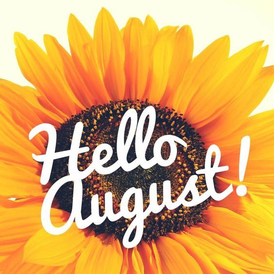 CANEaquatics's tweet photo. Hello August!😉🌞
.
.
#CANESW2BH #CANESBETTERTOGETHER💚🧡 https://t.co/qmwjlMfUDO