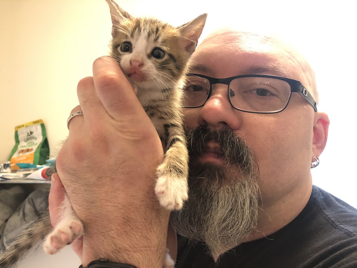 Angry Bald Man attempts cuddles, but this kitten wants to go back to eating his brother’s head.