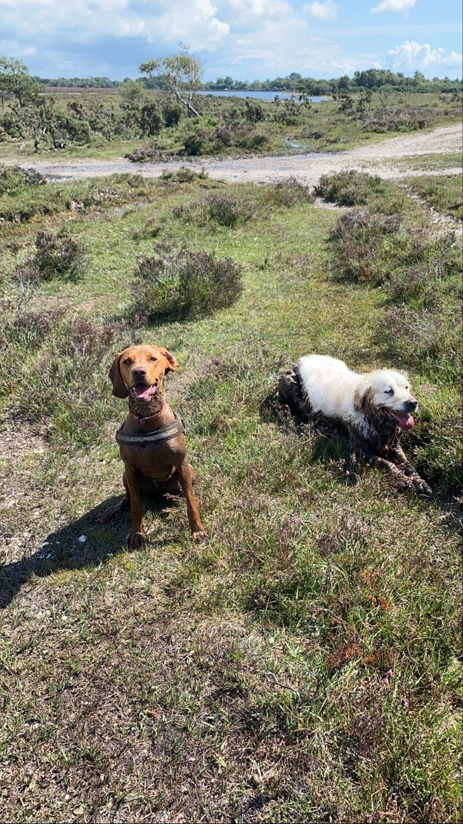 Anna Boniface (@annaboniface) on Twitter photo Great walk with <a href="/ToBasecamp/">Jessicas_journey_to_basecamp</a> & the very muddy pups š¾
So proud of Jessās journey since she was <a href="/FlintHouseRehab/">Flint House Police RehabilitationĀ®</a> following her spinal surgery. Sheās training hard for trekking to Everest Basecamp, raising money to help other police officers with their rehab with <a href="/FlintHousePhys/">Flint House Physio Team</a> Great walk with <a href="/ToBasecamp/">Jessicas_journey_to_basecamp</a> & the very muddy pups š¾
So proud of Jessās journey since she was <a href="/FlintHouseRehab/">Flint House Police RehabilitationĀ®</a> following her spinal surgery. Sheās training hard for trekking to Everest Basecamp, raising money to help other police officers with their rehab with <a href="/FlintHousePhys/">Flint House Physio Team</a>
