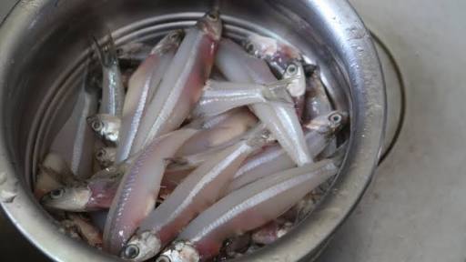நெத்திலி -Anchovy சிறிய வகை மீன் குழம்பா வைக்கறதை விட 65 மாதிரி செஞ்சி சாப்பிடலாம் . இதோட கருவாடு மீனை விட மொறுமொறுப்பா இருக்கும் . இதை ஒவ்வென்னா சுத்தம் பண்றது பெரும்பாடுசட்டில கல்லு உப்பை போட்டு மொத்தமா ஒரு சுழட்டு சுழட்டுனா போதும் 11/N