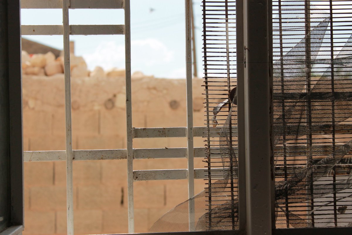 Nerede olsa yaşıyor insan;
Nerede olsa bir gün ölmek var.
#cahitsıtkıtarancı#mazlumçimen