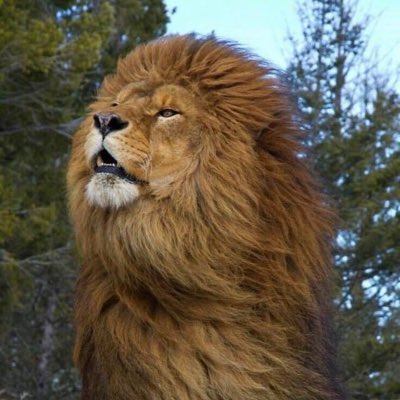 KountzeABC's tweet photo. #NewProfilePic https://t.co/MC8HB3HX7T