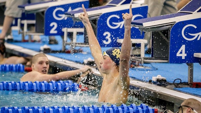 BearInsider's tweet photo. This past week, @calmenswim added four new recruits to their 2020-21 roster, including three transfers from Cal Poly, Notre Dame, and Indiana #GoldenBears #CalSports
https://t.co/XHxdZ7OCoB https://t.co/g6OgB7Mfbt
