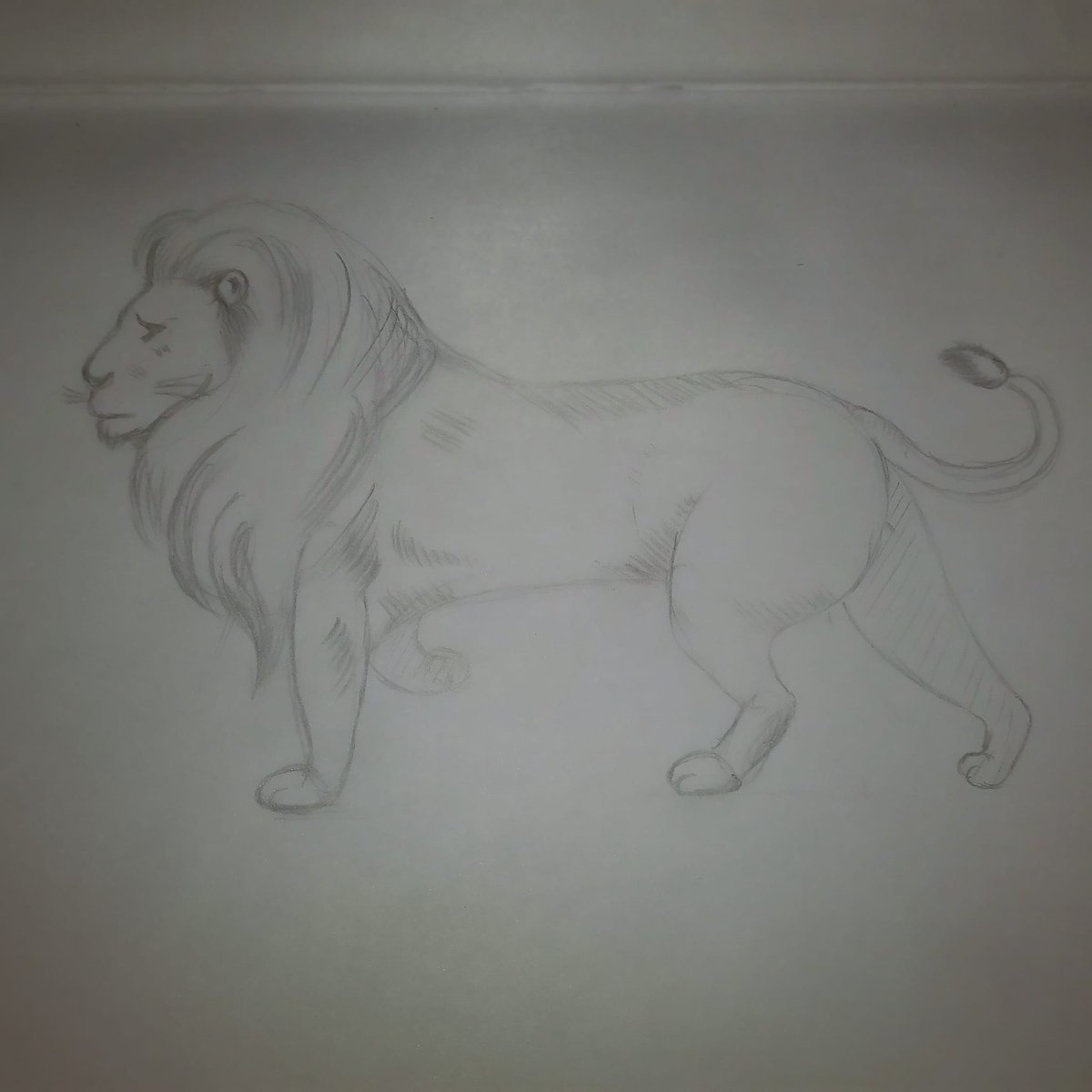 Lion sketch 🦁🦁

#sketch #drawing #art #pencilsketch #pencildrawing #sketching #sketchbook #sketchbookdrawing #pencilonpaper #lion #lionsketch #liondrawing #animals #animalsketch #drawingstudies #study #studying