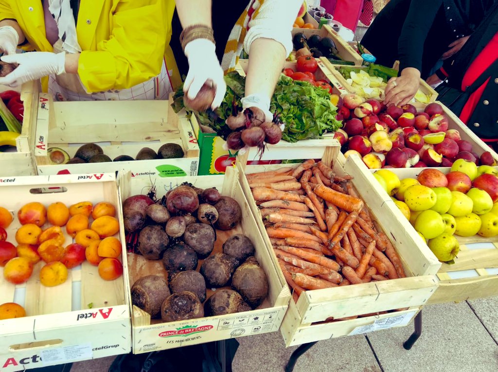 SolidariFood tweet media