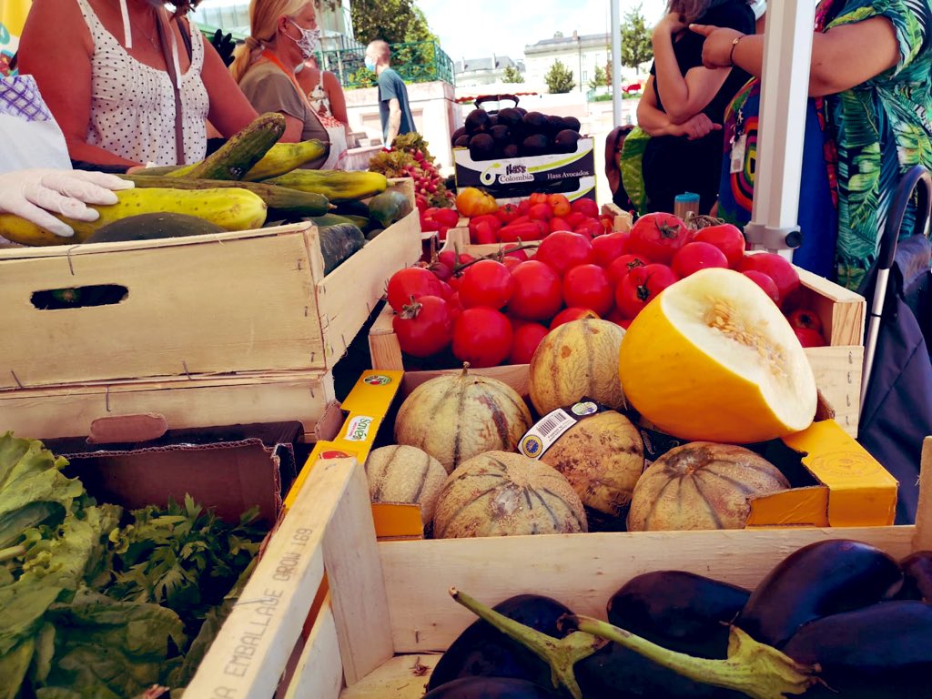 SolidariFood tweet media