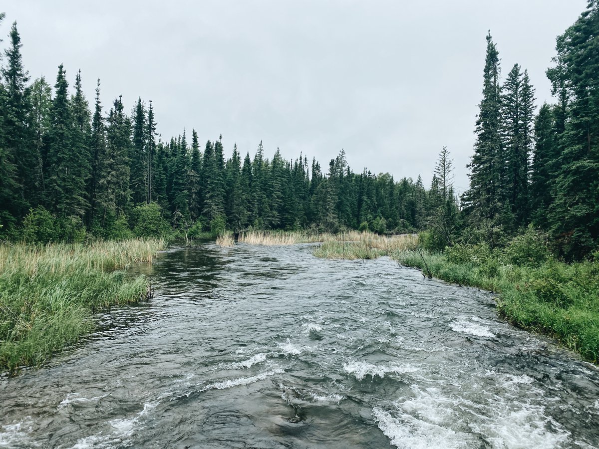 "In my mind, the North and love are intimately entwined." - Tenille K Campbell, SK // <a href="/sweetmoonphoto/">tenille k campbell</a> on the blog today via bit.ly/3140H0O