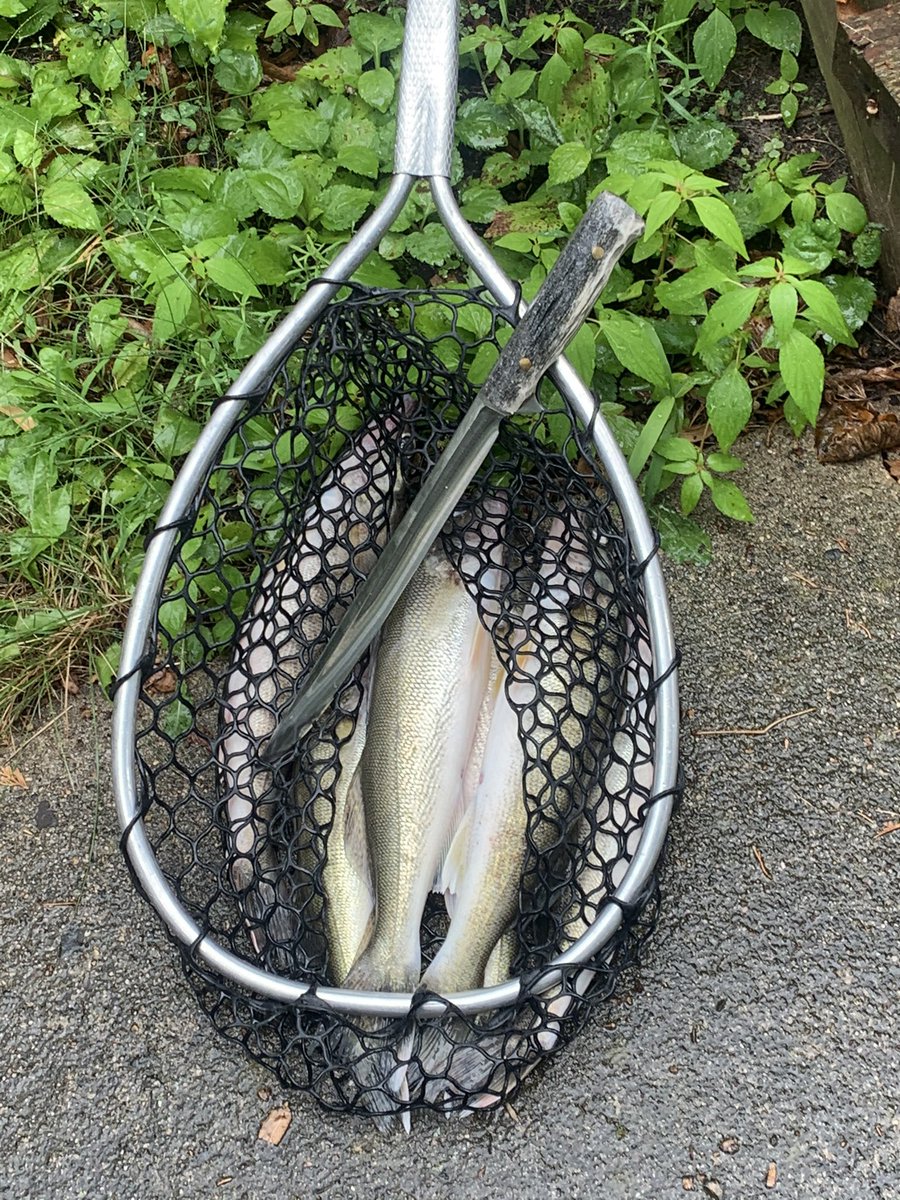 Knife worked great <a href="/CustomJolly/">Jolly Roger Custom Knives</a>