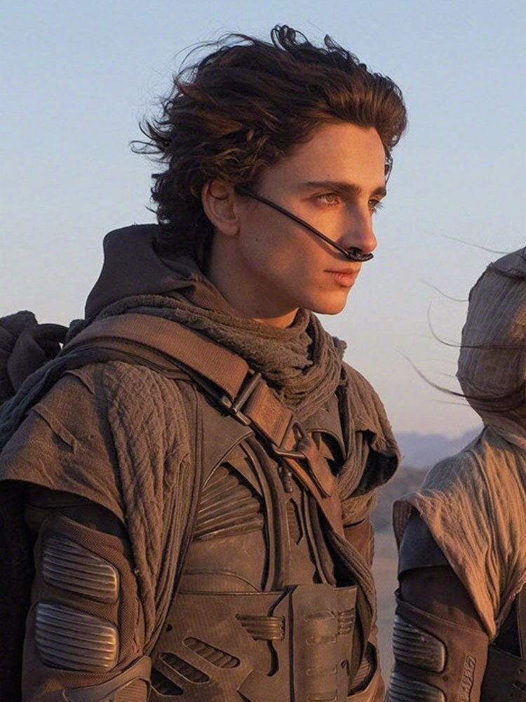 deadpoetssciety's tweet photo. "timothée chalamet was my first choice at the beginning. he is a phenomenal actor. he is someone that has a lot of depth, someone that is very mature of his age. because paul atreides is and old soul in a young body, and timothée has that. he's a real movie star" Denis Villeneuve https://t.co/YQYZVhWeEV