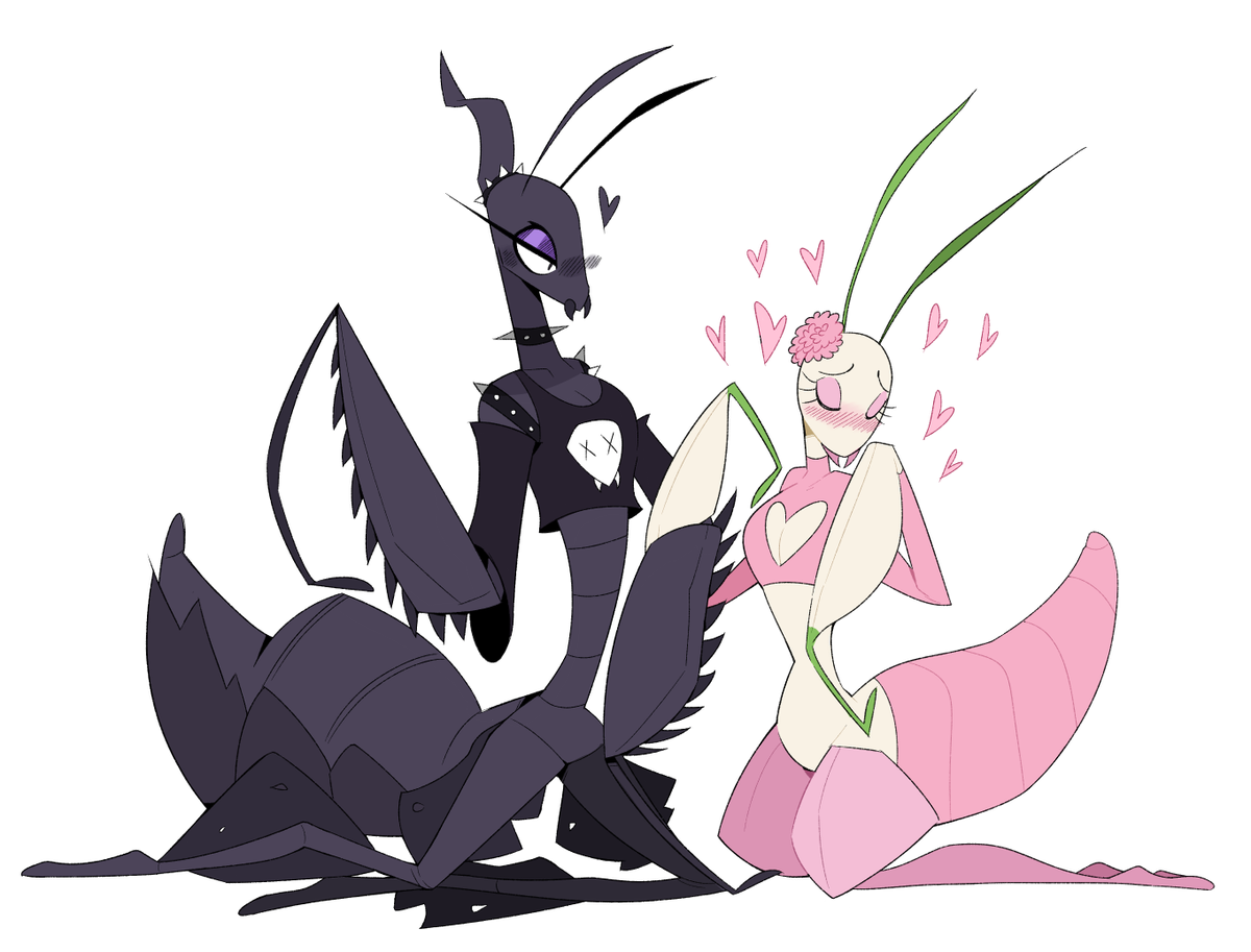 Idolomantises's tweet photo. Praying Mantis girlfriends https://t.co/oRm7jZVQMv