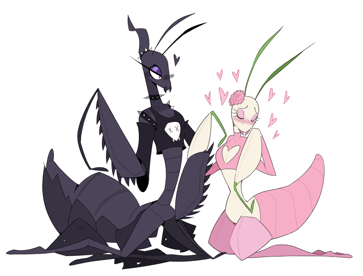 Praying Mantis girlfriends 