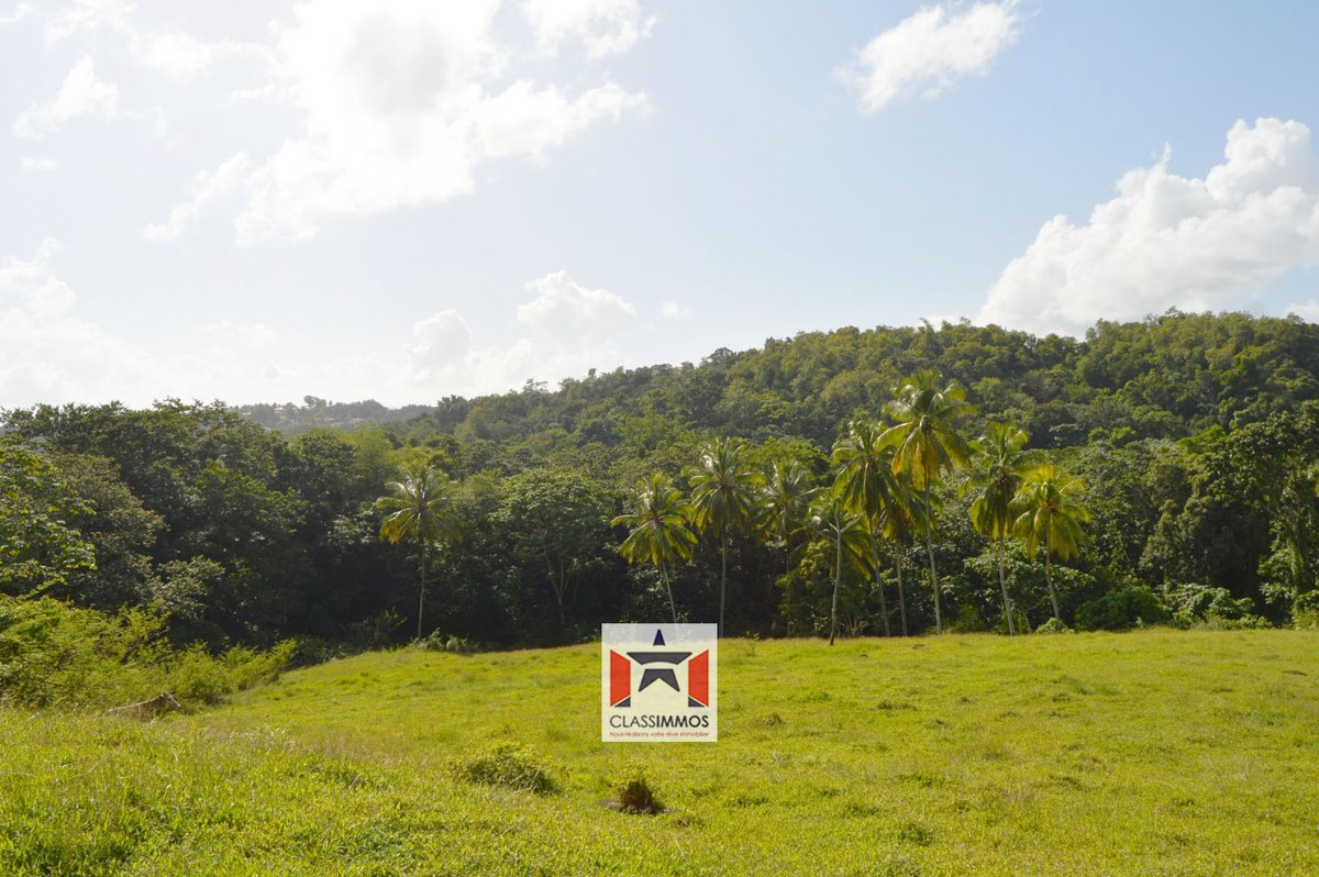 ClassImmos_M's tweet photo. #Vente 🍃 Terrain de 83000 m² à 📍 LE LAMENTIN (97232) 🍃
👉 https://t.co/yqFeQEtQhR
.
#classimmos #immobilier #martinique #lamentin #avendre #investir #investisseur #terrain #home #achat #immo #entrepreneur #investissement #forsale #westindies #paradiseisland #ilovemyjob https://t.co/9VkOABKTX7