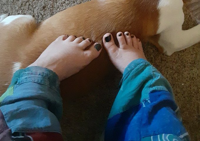 My good boi likes them feet rubs. How about you? ;)
#footfet?sh #feetpicforsale #feets #kink #customfeet