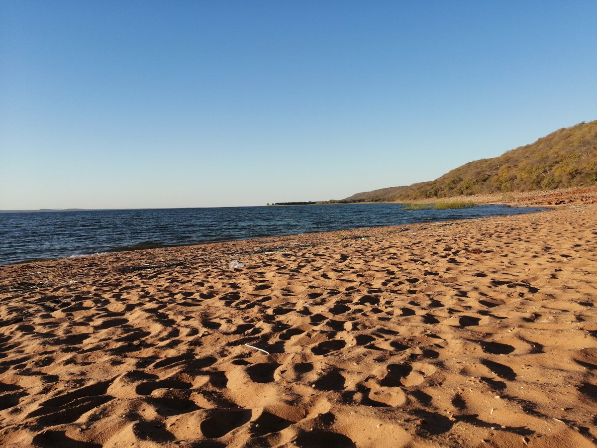 The 'Jar bae'🇿🇼 🇲🇼 tweet media