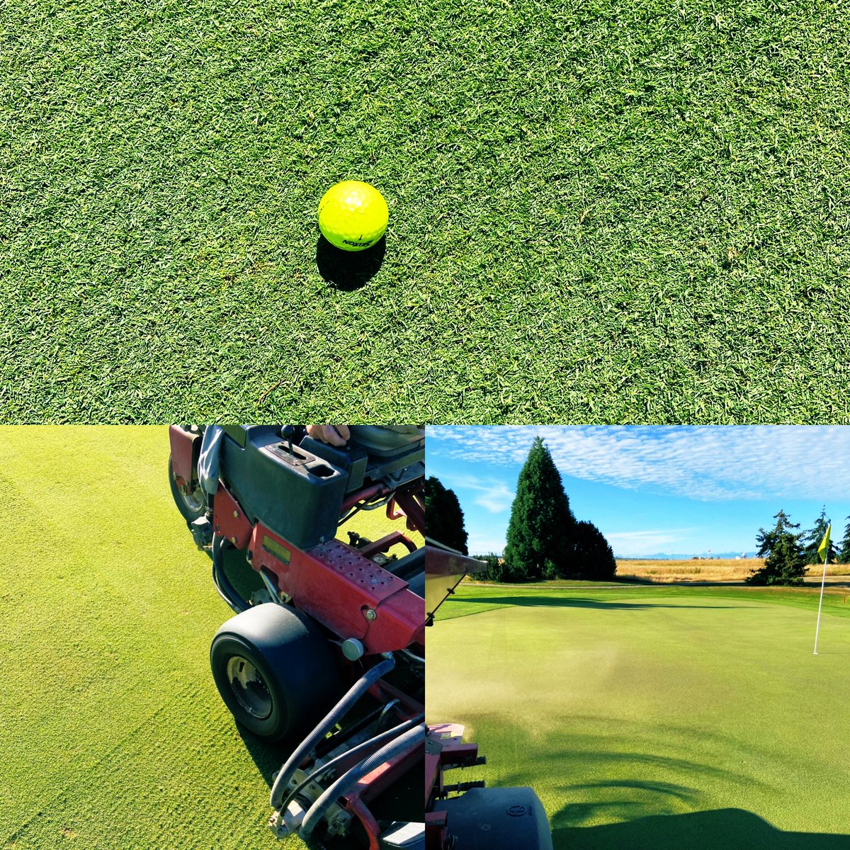 Two days of cooler weather in the Comox Valley means an opportunity to dial in the greens <a href="/GolfGG/">Glacier Greens Golf Club</a> for upcoming Club Championships. Two directions verticut, mow, and a light sand topdress should do it!!