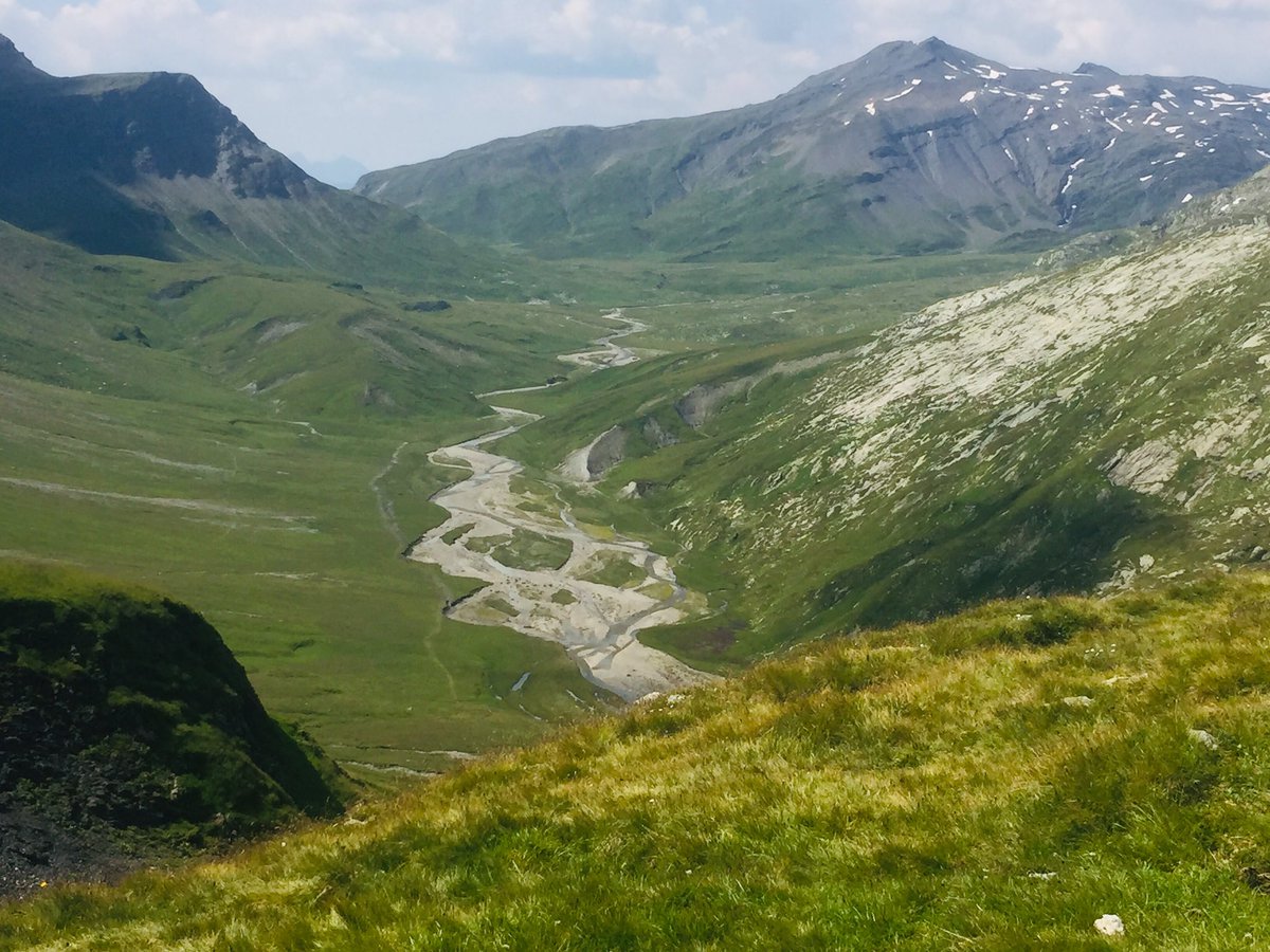 enussbi's tweet photo. Heute in der #Greina #Terrihütte. Gemäss Egger in Seethalers Roman: „Ein Mann nach seinem Geschmack aber müsse den Blick heben, auf dass er möglichst weit hinwegschaue über sein eigenes, eng begrenztes Fleckchen Erde.“ #1August https://t.co/H4Hya68RsQ