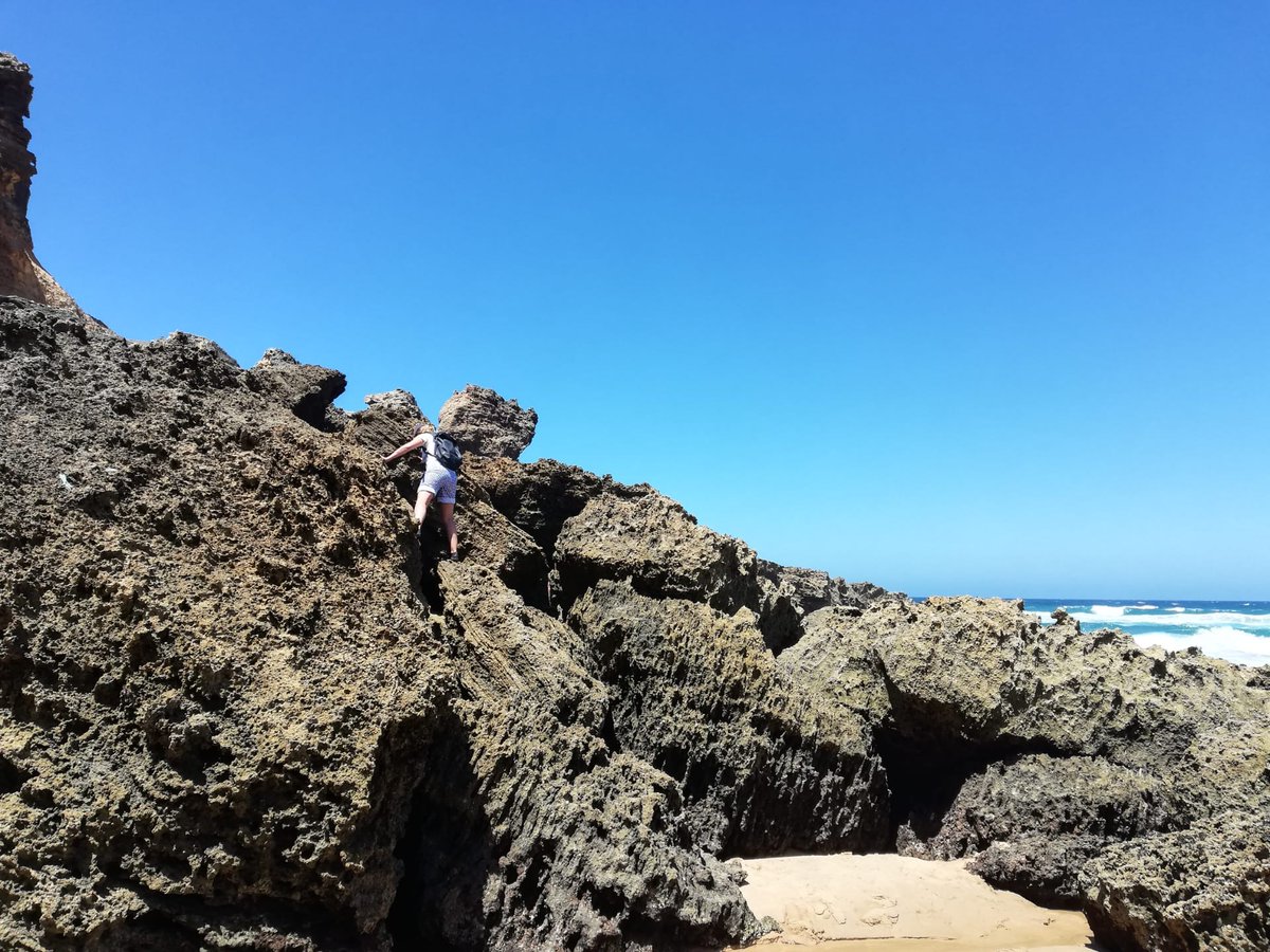 BioNept's tweet image. We're back out in the field for a new exciting limpets project.  🌊 More soon.
#intertidal #biodiversity #limpets