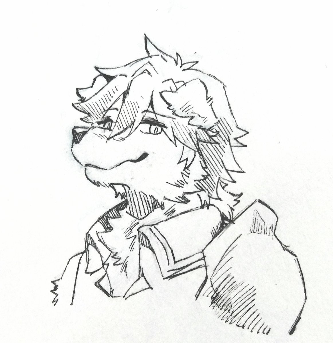 No thoughts,just shepherd Chrom(?) 